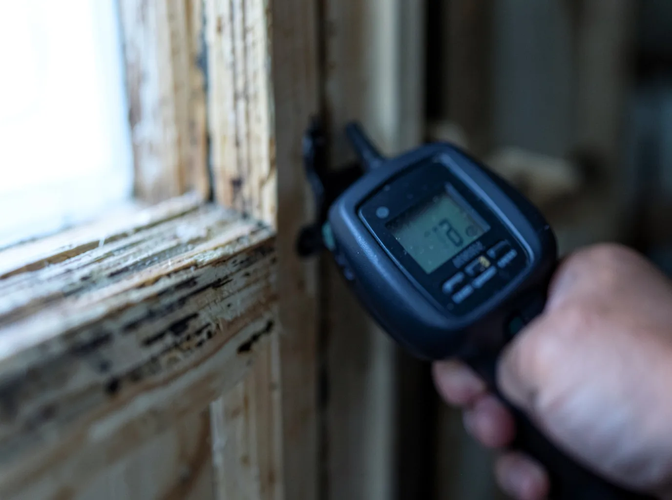 Moisture Inspection And Documentation in Montrose, MN